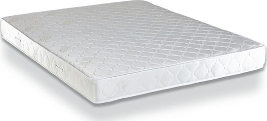Candia Perfect Einzel Orthopädisch Matratze Schaum 100x200x19cm