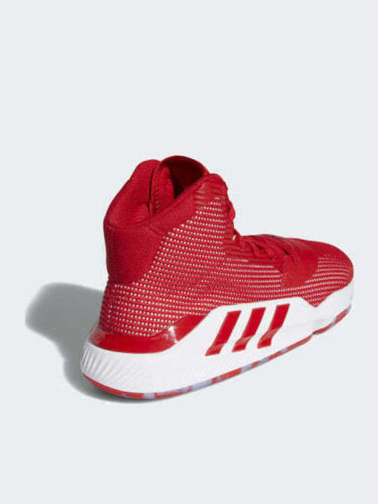 Pro Bounce 2019 Basketballschuhe Scarlet / Cloud White