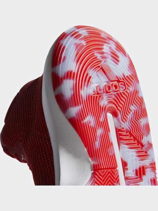 Pro Bounce 2019 Basketballschuhe Scarlet / Cloud White