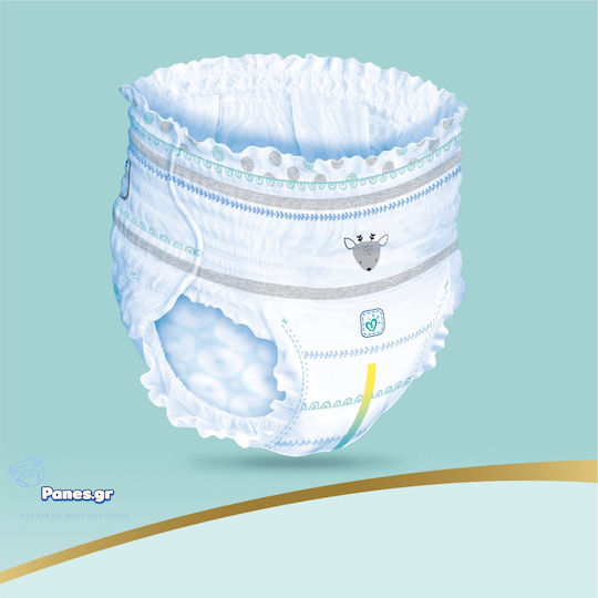 Pampers Πάνες Βρακάκι Premium Care No. 4 για 9-15kg 38τμχ