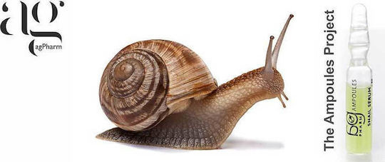 Ag Pharm Snail Elastizität & Reparatur Feuchtigkeitsspendend & Anti-Aging Serum Gesicht mit Schneckensekret & Peptide für Straffung & Akne 2ml