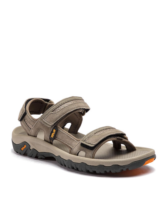 Teva