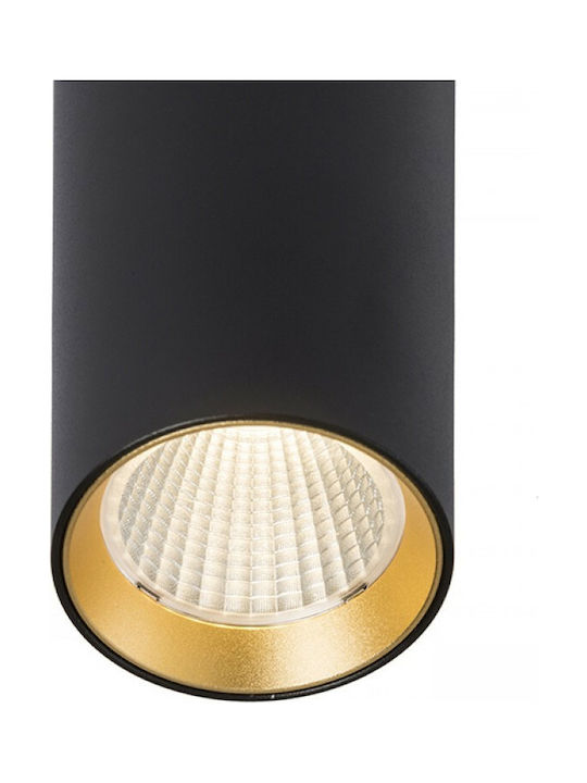 Rendl Light Studio Mavro Pendant