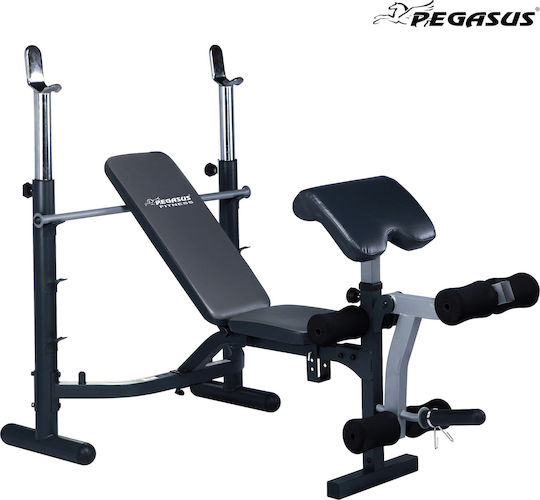 Pegasus JX-764 L-586 Adjustable Workout Bench with Stands