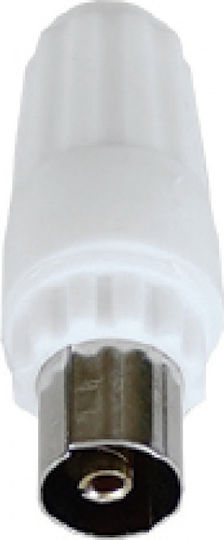 Βύσμα Coaxial female Λευκό 0321.009