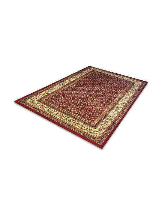 Royal Carpet 5238B Rug Rectangular Olympia Red