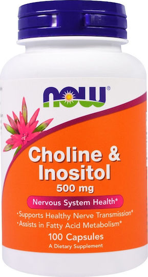 Now Foods Choline & Inositol 500mg Добавка за Стрес 100 Капсули