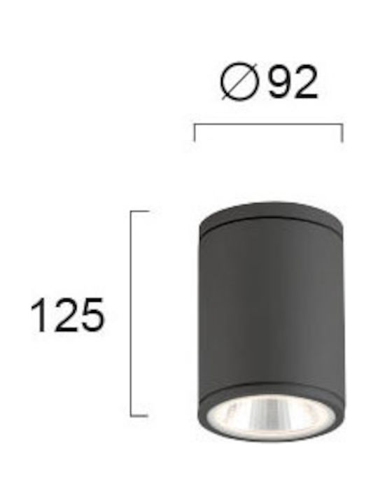 Viokef Maroco Spot Deckenleuchte für den Außenbereich mit integriertem LED in Schwarz Farbe 4199102