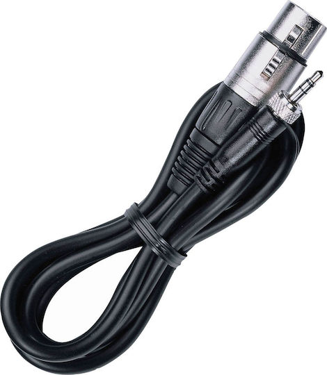 Sennheiser Cable XLR female - 3.5mm male 1.5m (H40SE00018)