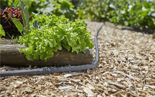 Gardena Liano Λάστιχο Ποτίσματος Σετ 1/2" 10m