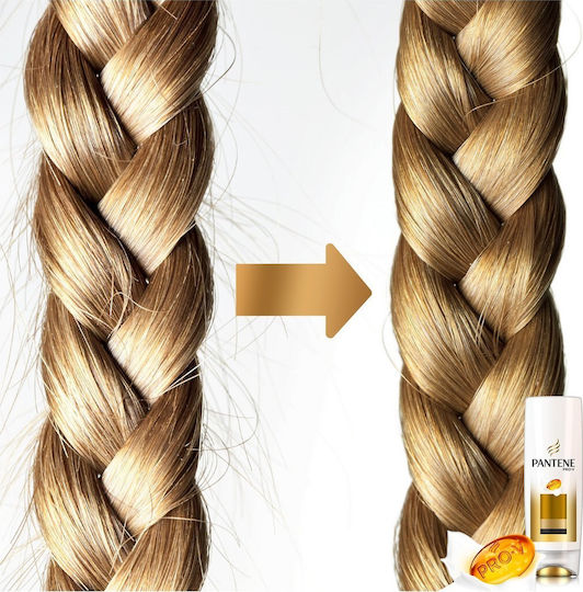 Pantene Pro-v Repair & Protect Conditioner Color Maintenance for Coloured Hair 270ml