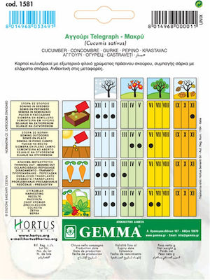 Gemma Seeds Cucumber 2gr/60pcs