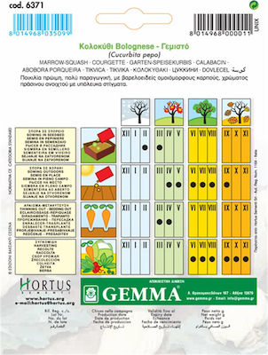 Gemma Seeds Pumpkinς Zucchini 5gr/30pcs
