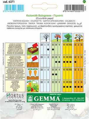 Gemma Samen Kürbisς Zucchini 5gr/30Stück