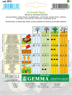 Gemma Σπόροι Κουνουπιδιού 2gr/1000τμχ