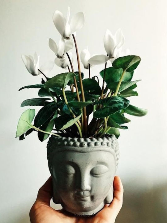 Zaros Κασπώ Τσιμεντένιο Γκρι