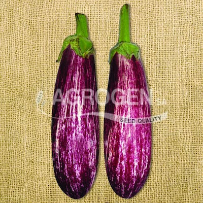 Agrogen Seeds Aubergine 0.5gr