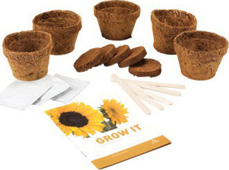 Gift Republic Seeds Sunflower Cultivation Package Yellow