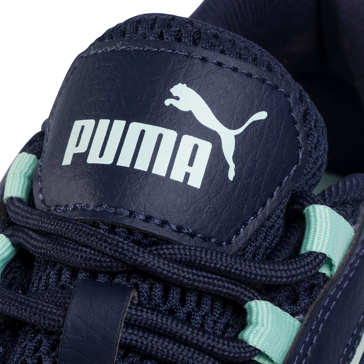 nucleus puma