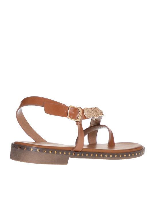 Envie Shoes Envie Shoes