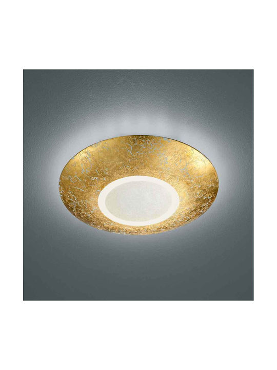 Trio Lighting Chiros Μοντέρνα Γυάλινη Πλαφονιέρα Οροφής με Ενσωματωμένο LED σε Χρυσό χρώμα