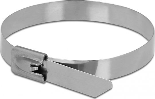 DeLock DeLock Metallic Cable Ties 400mm x 7.9mm in Silver Colour (10 pcs) 18773