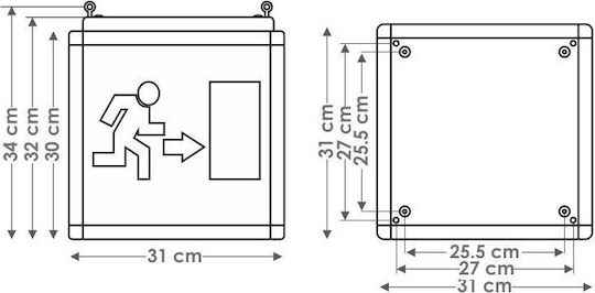 Olympia Electronics LED Lumină de siguranță pentru ieșire GR-415/4P 1buc