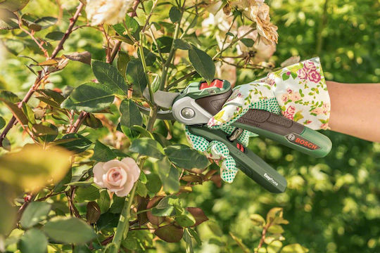 Bosch EasyPrune Pruning Shears 3.6V with 1 Battery & Maximum Cutting Diameter 25mm