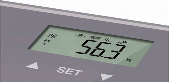 Terraillon Scan Ψηφιακή Ζυγαριά 160kg με Λιπομετρητή Γκρι