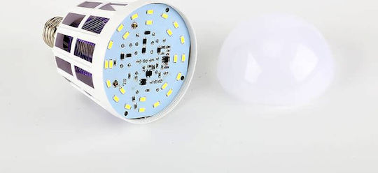Hoomei LED 15W