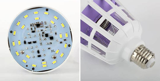 Hoomei LED 15W