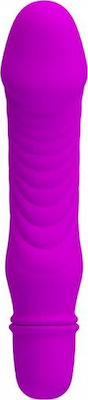 Pretty Love Stev Klassisch Vibrator 13.5cm BI-014510 Purple