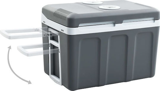 vidaXL Преносим Термоелектрически Хладилник 45л 12V Сив