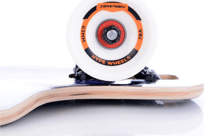 Tempish Fox Complete Longboard 8.5" Multicolour 106001011