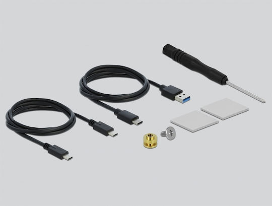 DeLock Θήκη για Σκληρό Δίσκο M.2 PCI Express με σύνδεση Type-C σε Διάφανο χρώμα