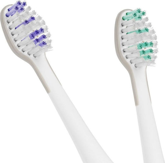 Teesa Sonic Electric Toothbrush Replacement Heads Medium TSA8012 2pcs
