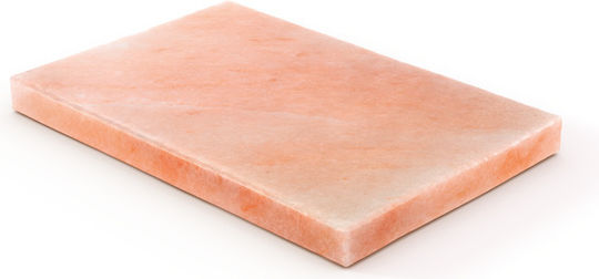 Electrolux Salt Block Placă de copt Piatră