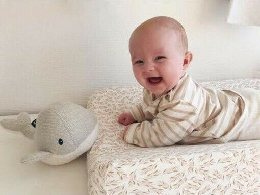Flow Sleep Toy Moby the Whale made of Fabric with White Noise and Music for 0++ Months