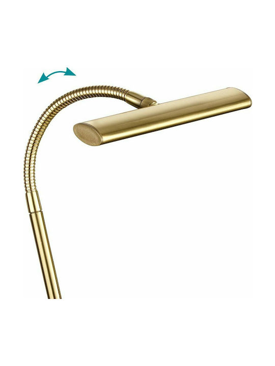 Trio Lighting Curtis LED Office Lamp with Flexible Arm in Gold Color