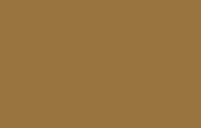 Montana Colors Σπρέι Βαφής 94 με Ματ Εφέ Marrakech RV-138 400ml