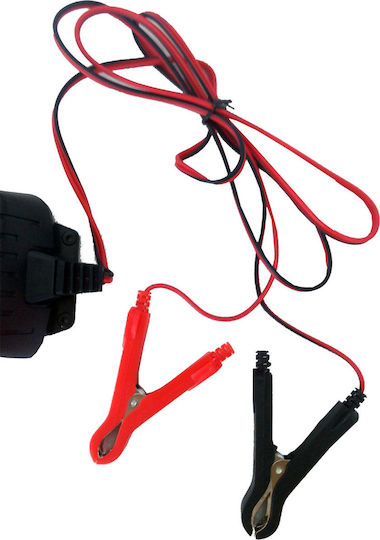 Autoline Smart Car Battery Charger & Maintainer 12/24V