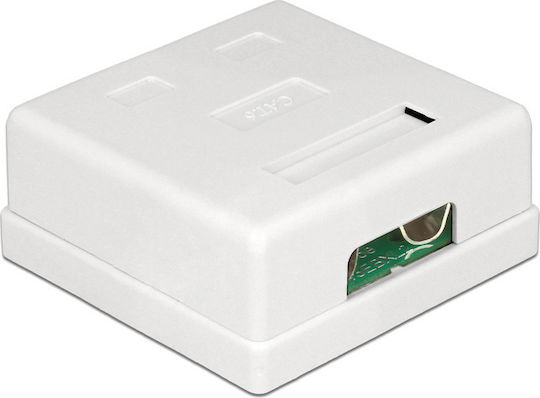 DeLock Διπλή Εξωτερική Πρίζα Δικτύου RJ45 Τύπου Cat6 σε Λευκό Χρώμα 86269