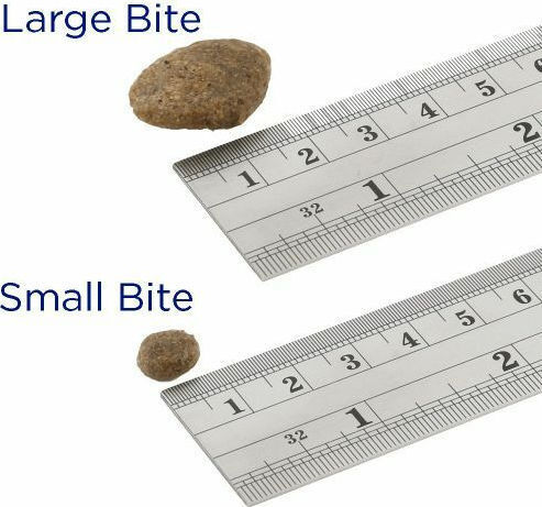 Fish4Dogs Finest Salmon Adult Large Kibble 12kg Ξηρά Τροφή χωρίς Σιτηρά για Ενήλικους Σκύλους με Πατάτες και Σολομό