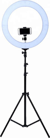 Factory YQ-460B Ring Light 43cm 3200 - 5600K with Tripod Floor and Mobile Holder
