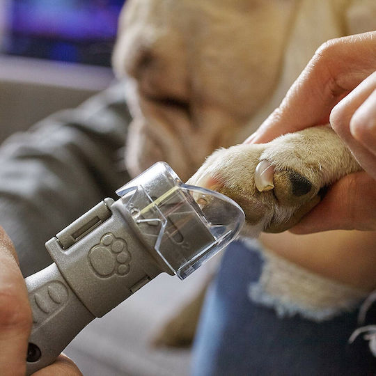 Dremel Dog