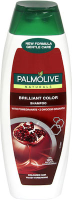 Palmolive Shampoos Farberhalt für Gefärbt Haare 1x400ml