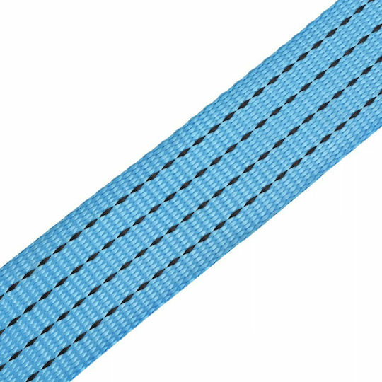 vidaXL Car Luggage Strap with Ratchet Blue 800x5cm 4pcs