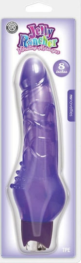 Ns Novelties Jelly Rancher Vibrating Massager Realistic Vibrator 23cm Purple