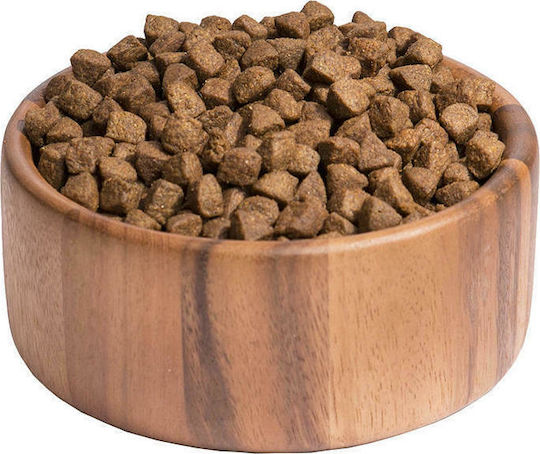 Wellness Core Adult Ocean 10kg Dry Food Grain-Free for Adult Medium & Large Breed Dogs with Salmon and Tuna