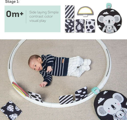 Taf Toys All Around Me Play Mat for Newborns